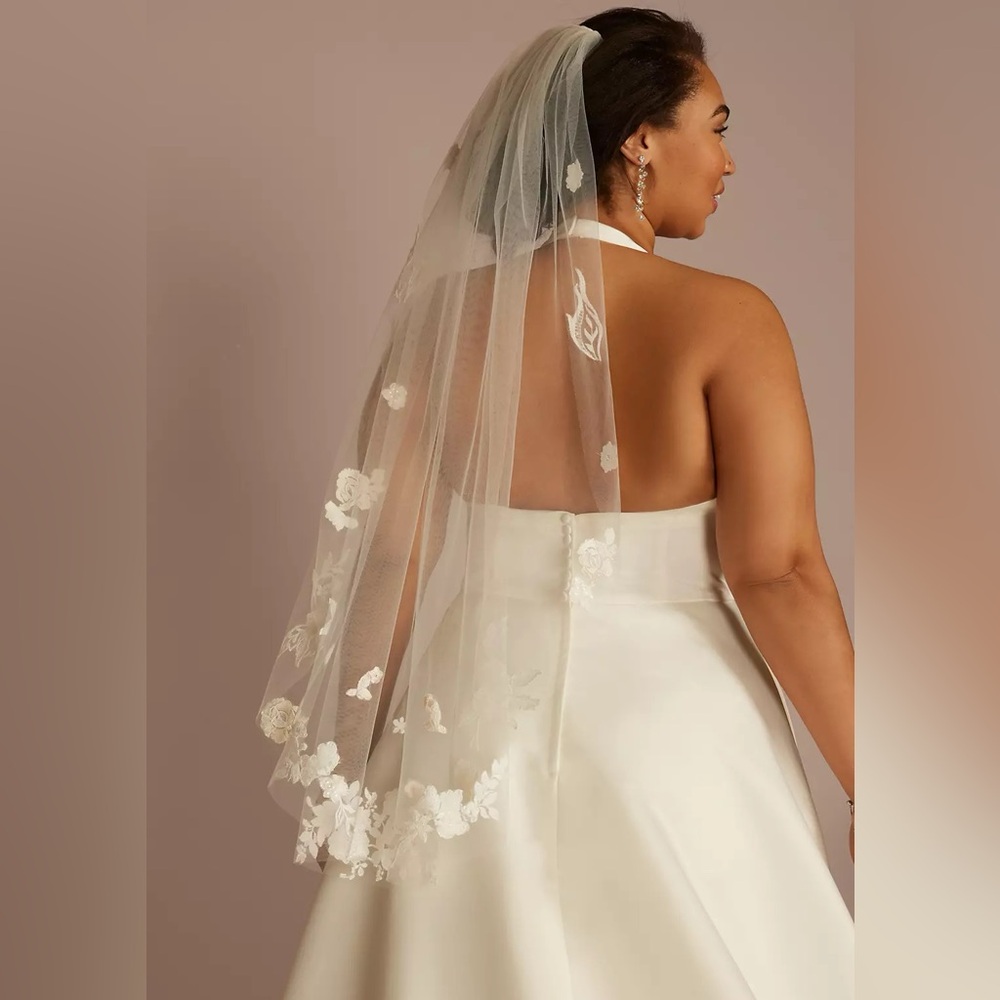 Brand new David’s Bridal Veil